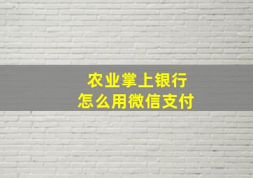 农业掌上银行怎么用微信支付