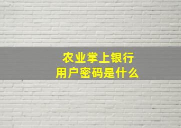 农业掌上银行用户密码是什么