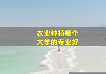 农业种植哪个大学的专业好