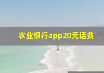 农业银行app20元话费