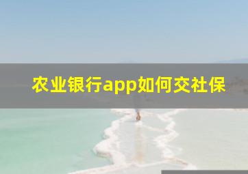 农业银行app如何交社保