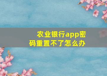 农业银行app密码重置不了怎么办