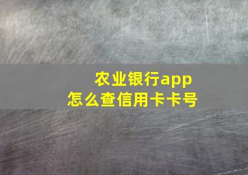 农业银行app怎么查信用卡卡号