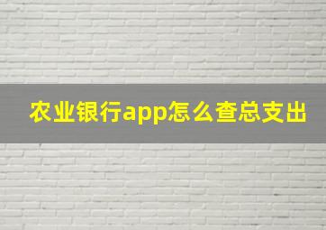 农业银行app怎么查总支出