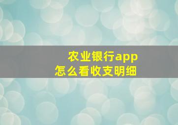 农业银行app怎么看收支明细