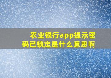 农业银行app提示密码已锁定是什么意思啊