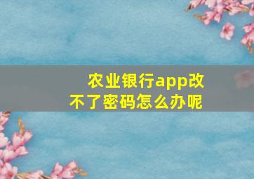 农业银行app改不了密码怎么办呢