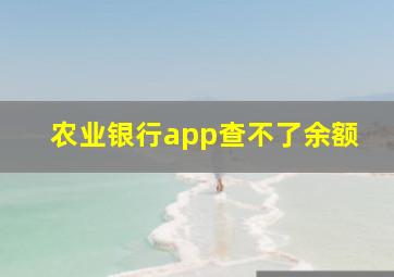 农业银行app查不了余额