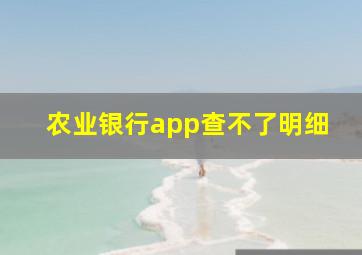 农业银行app查不了明细