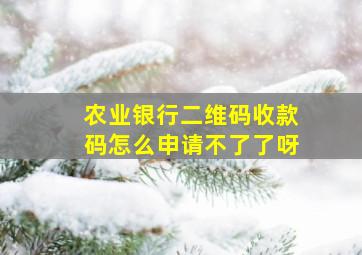 农业银行二维码收款码怎么申请不了了呀