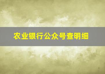 农业银行公众号查明细