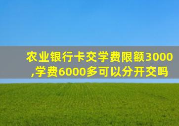 农业银行卡交学费限额3000,学费6000多可以分开交吗