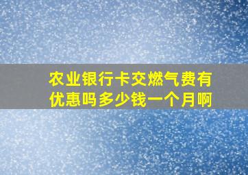 农业银行卡交燃气费有优惠吗多少钱一个月啊