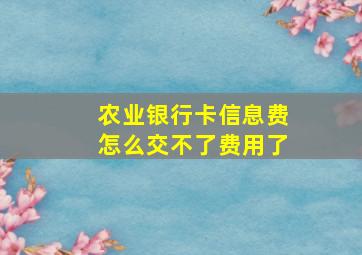 农业银行卡信息费怎么交不了费用了