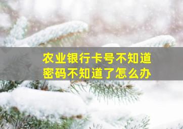 农业银行卡号不知道密码不知道了怎么办