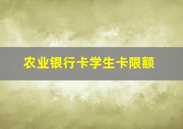 农业银行卡学生卡限额