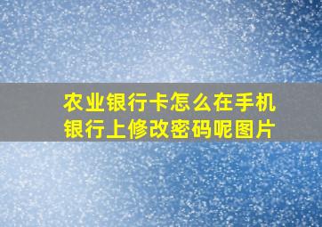 农业银行卡怎么在手机银行上修改密码呢图片