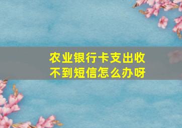 农业银行卡支出收不到短信怎么办呀