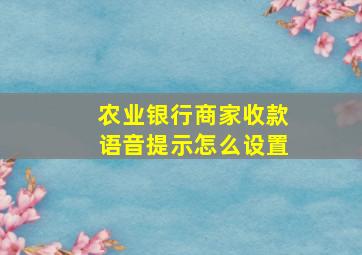 农业银行商家收款语音提示怎么设置