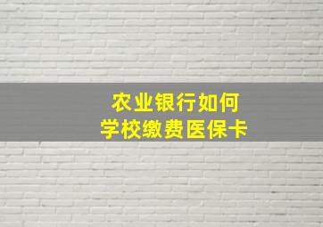 农业银行如何学校缴费医保卡