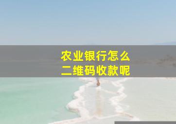 农业银行怎么二维码收款呢