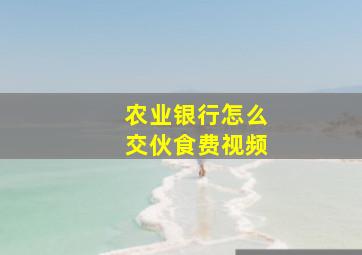 农业银行怎么交伙食费视频