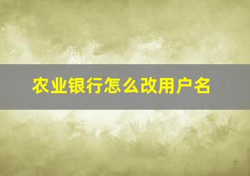 农业银行怎么改用户名