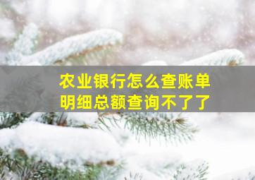 农业银行怎么查账单明细总额查询不了了