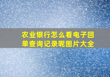 农业银行怎么看电子回单查询记录呢图片大全