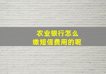 农业银行怎么缴短信费用的呢