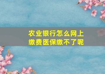 农业银行怎么网上缴费医保缴不了呢