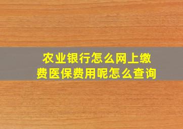 农业银行怎么网上缴费医保费用呢怎么查询