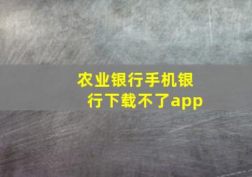 农业银行手机银行下载不了app