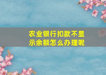 农业银行扣款不显示余额怎么办理呢