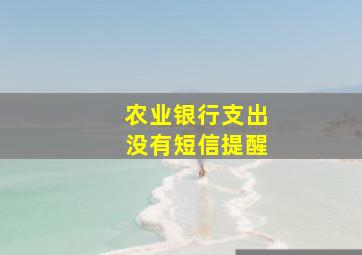 农业银行支出没有短信提醒