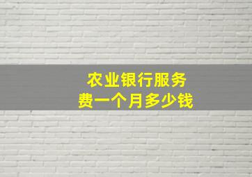 农业银行服务费一个月多少钱