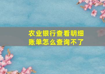 农业银行查看明细账单怎么查询不了