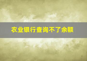 农业银行查询不了余额