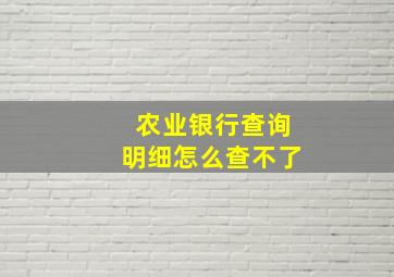 农业银行查询明细怎么查不了