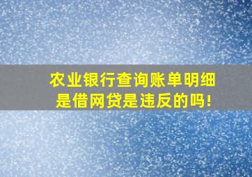 农业银行查询账单明细是借网贷是违反的吗!