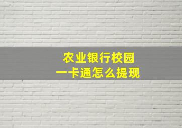 农业银行校园一卡通怎么提现