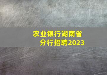 农业银行湖南省分行招聘2023