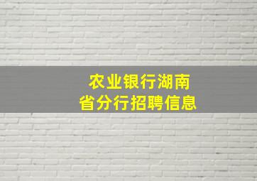 农业银行湖南省分行招聘信息