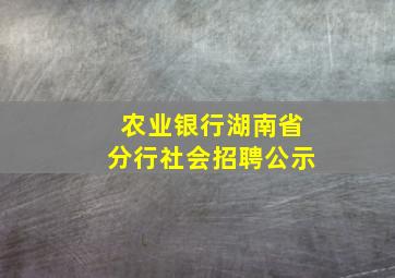 农业银行湖南省分行社会招聘公示