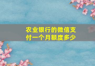 农业银行的微信支付一个月额度多少