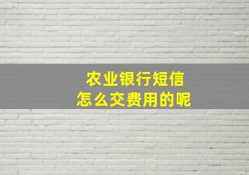 农业银行短信怎么交费用的呢