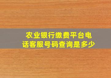 农业银行缴费平台电话客服号码查询是多少