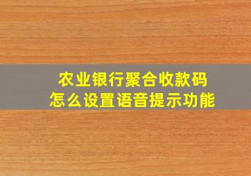 农业银行聚合收款码怎么设置语音提示功能