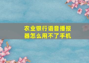 农业银行语音播报器怎么用不了手机