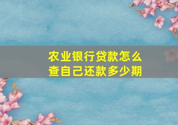 农业银行贷款怎么查自己还款多少期